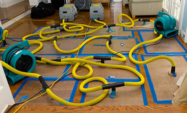 Professional Water Damage Restoration technician working in Jerry City, OH
